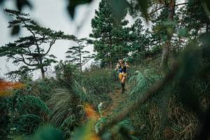 BIB: 
                            <button type="button" onclick="openModal(25258438)" class="btn btn-primary btn-sm float-right btn-popup" data-toggle="modal" data-target=".modal-high-quality">
                        <i class="fas fa-shopping-cart"></i> Add to Cart
                    </button>
                                            <button type="button" onclick="isThisMe(25258438, true)" class="btn btn-success btn-sm float-right btn-popup btn-isme hidden" data-toggle="tooltip" data-placement="bottom" title="นี่คือรูปของคุณใช่ไหม คลิกที่นี่เพื่อเอาเข้าอัลบั้ม">
                        <i class="fas fa-plus"></i> Add to album
                    </button>
                    <button type="button" onclick="isThisMe(25258438, false)" class="btn btn-warning btn-sm float-right btn-popup btn-isnotme hidden">
                        <i class="fas fa-ban"></i> Remove from album
                    </button>